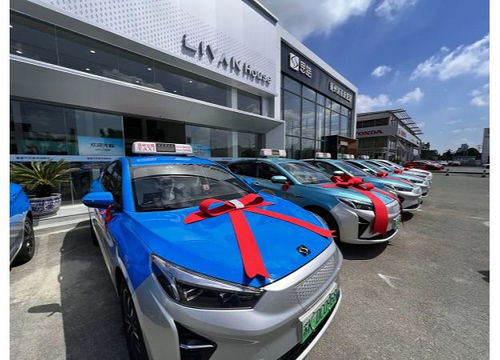 擦亮城市“綠色名片” 揚州首批新能源出租汽車正式投用