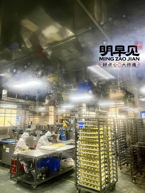 明早見中央智慧工廠 8000平米賦能，重塑包點行業完整供應鏈