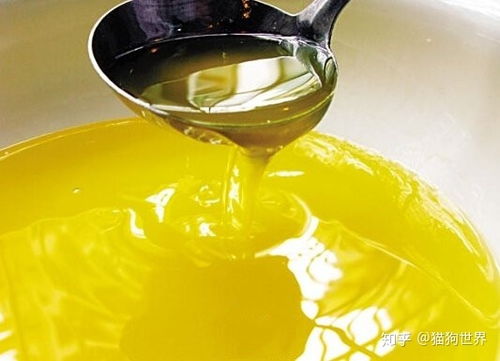 深耕品質，賦能品牌 探尋中國優質寵物食品OEM代工與供應鏈管理服務